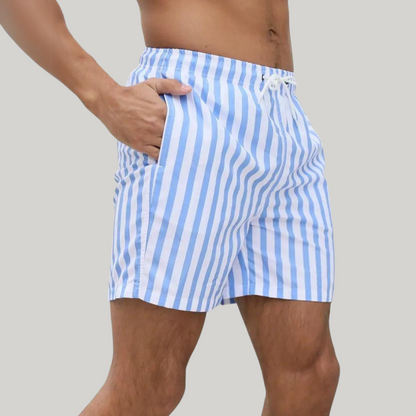 Men's Vertical Stripe Swim Shorts